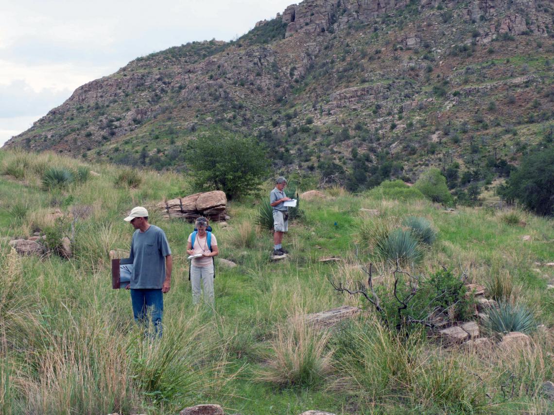 The researchers assessed plants growing at different elevations in the same areas surveyed by botanists 50 years ago. The researchers assessed plants growing at different elevations in the same areas surveyed by botanists 50 years ago.